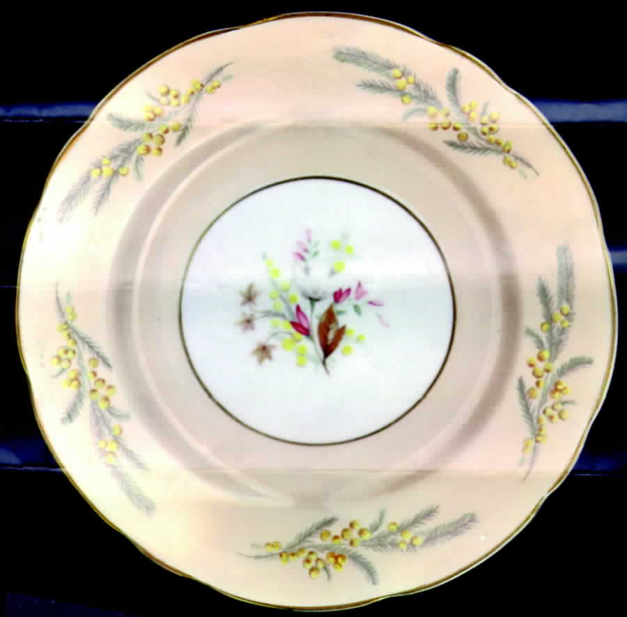 Trousseau Bread & Butter Plate by Royal Stafford-1