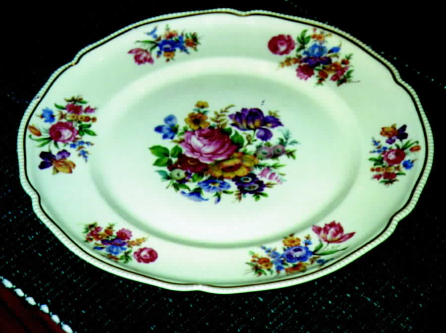 R737 Dinner Plate by Rosenthal - Continental-1
