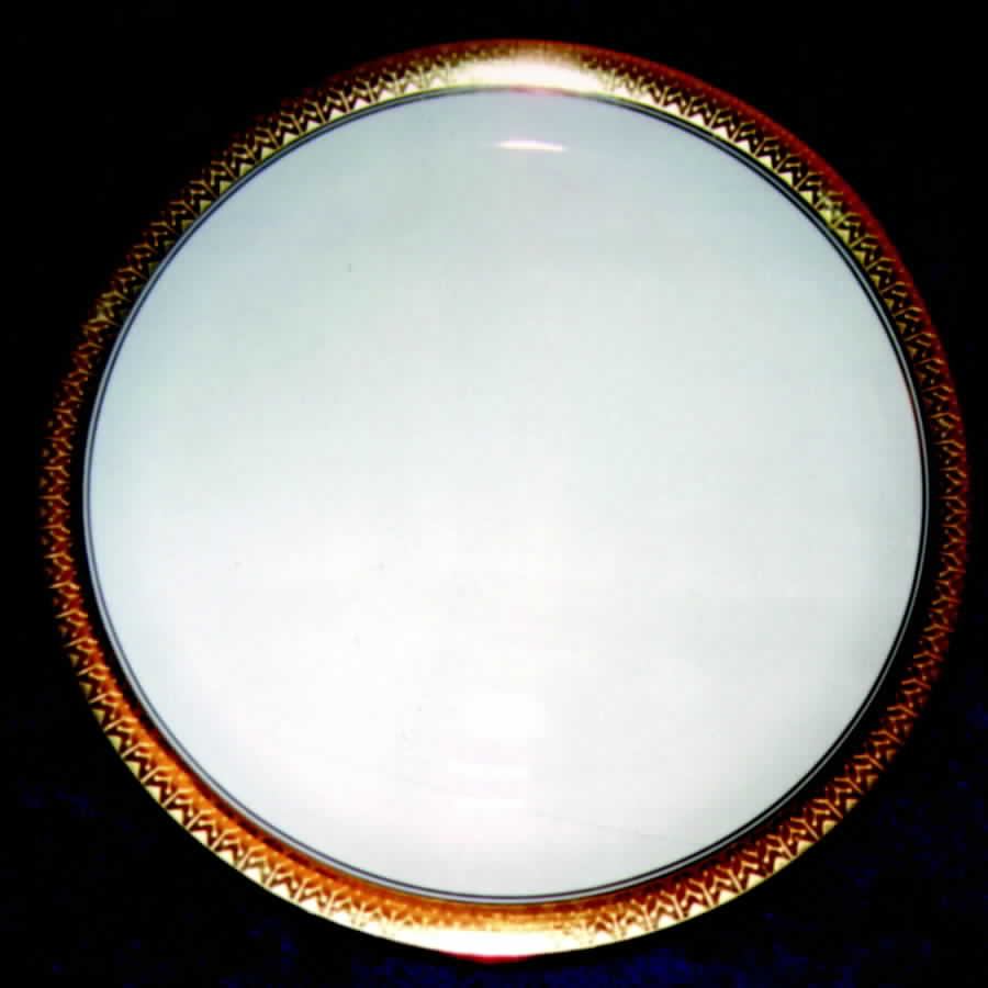 R742 Dinner Plate by Rosenthal - Continental-1