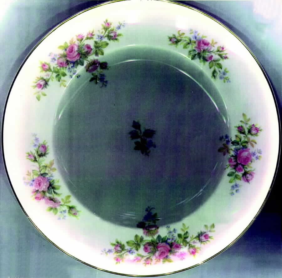 RVA24 Dinner Plate by Royal Vale-1