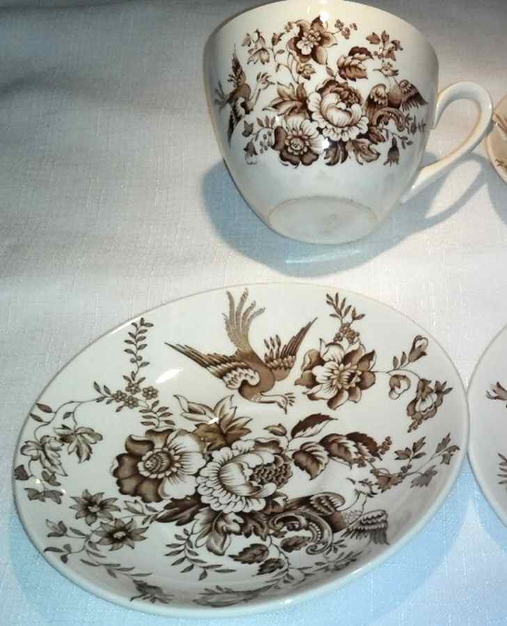 Atherstone Brown Flat Cup & Saucer Set by Ridgway (Ridgways)-1