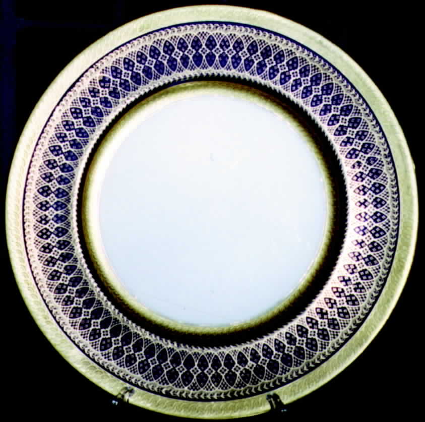 V4824 Dinner Plate by Royal Cauldon-1