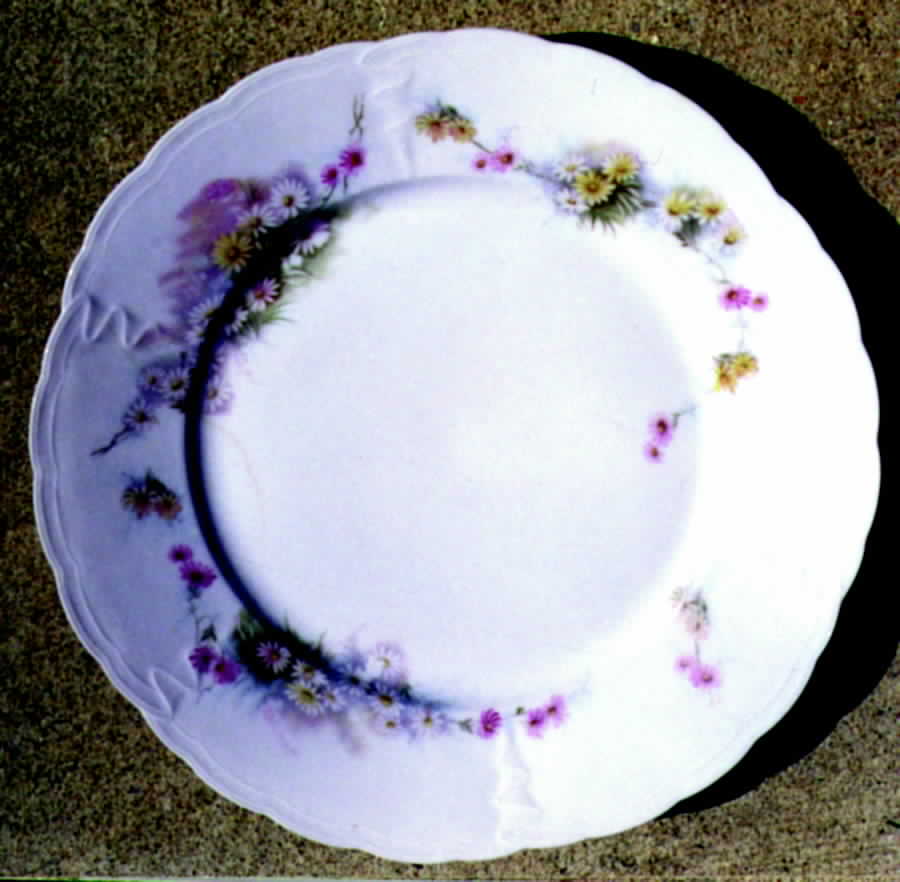 R741 Dinner Plate by Rosenthal - Continental-1