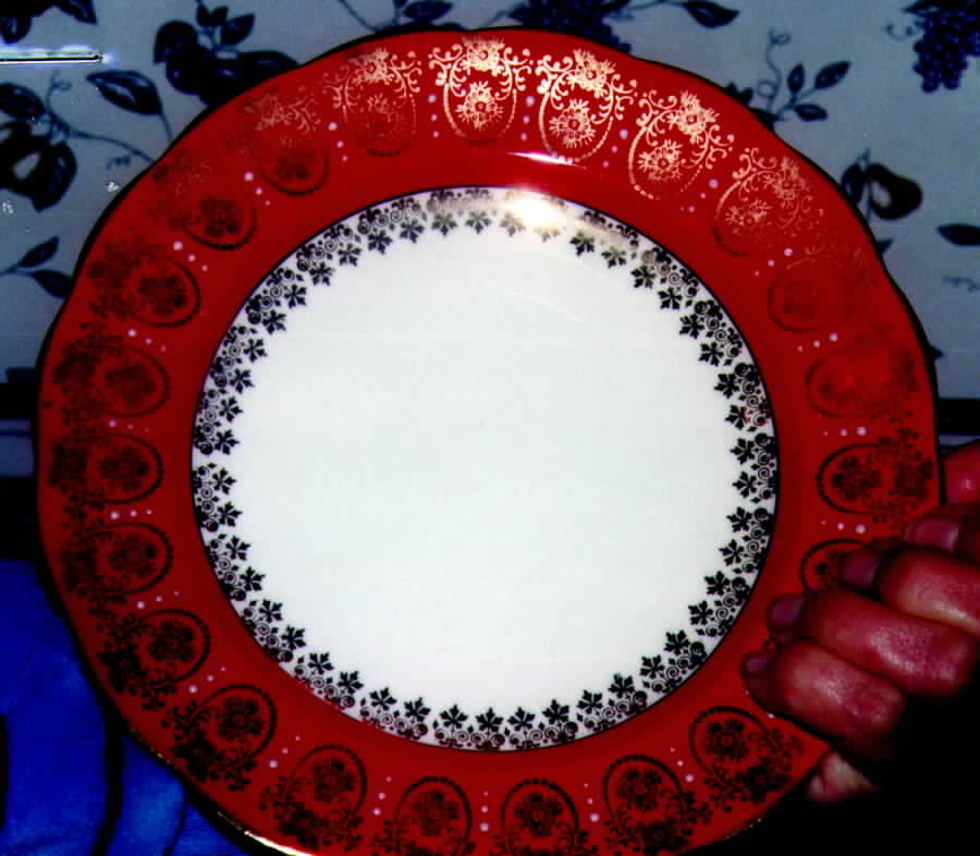 RSD19 Dinner Plate by Royal Standard-1