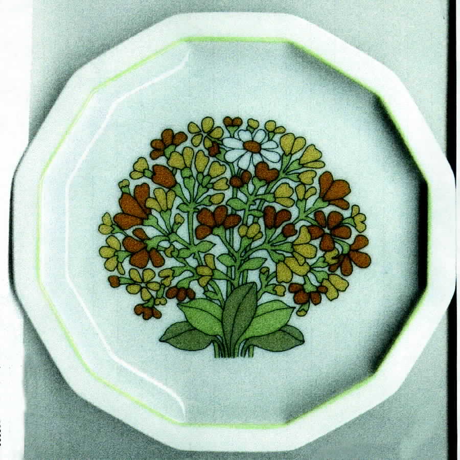 R747 Bread & Butter Plate by Rosenthal - Continental-1