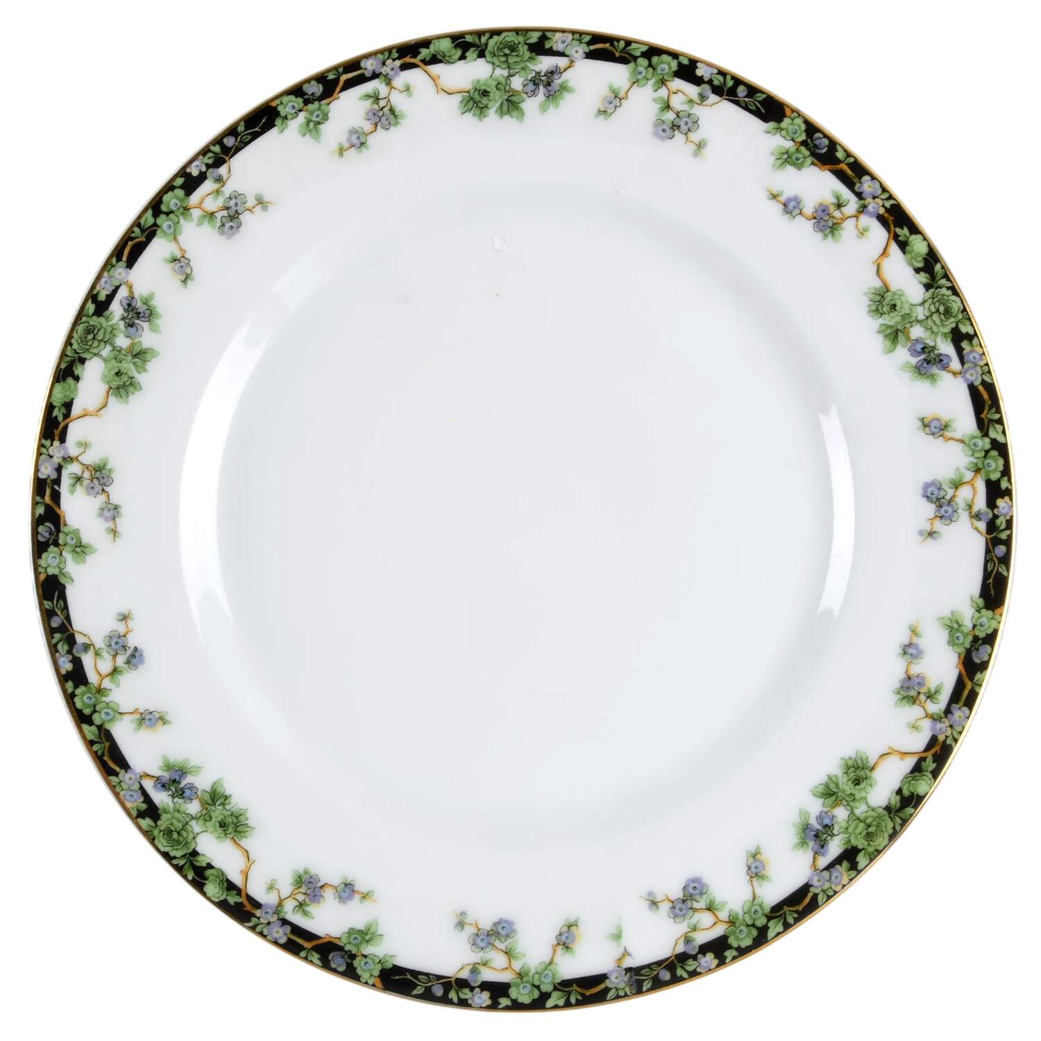 RSC27 Luncheon Plate by Royal Schwarzburg-1