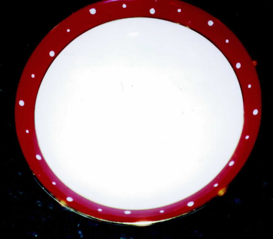 7046 Dinner Plate by Royal Grafton-1