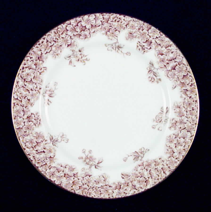 W2279 Brown Bread & Butter Plate by Royal Worcester-1