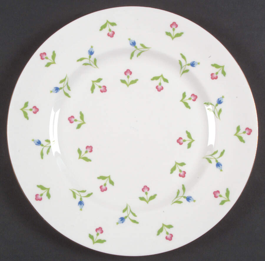 ROV12 Salad Plate by Royal Victoria-1