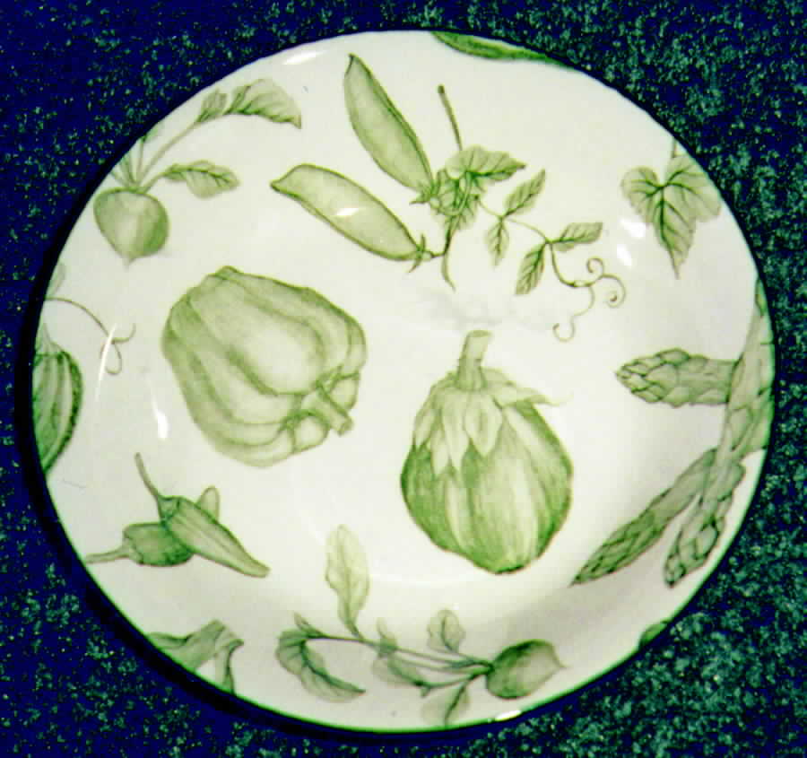 Toile De Legumes Green Rim Soup Bowl by Royal Stafford-1