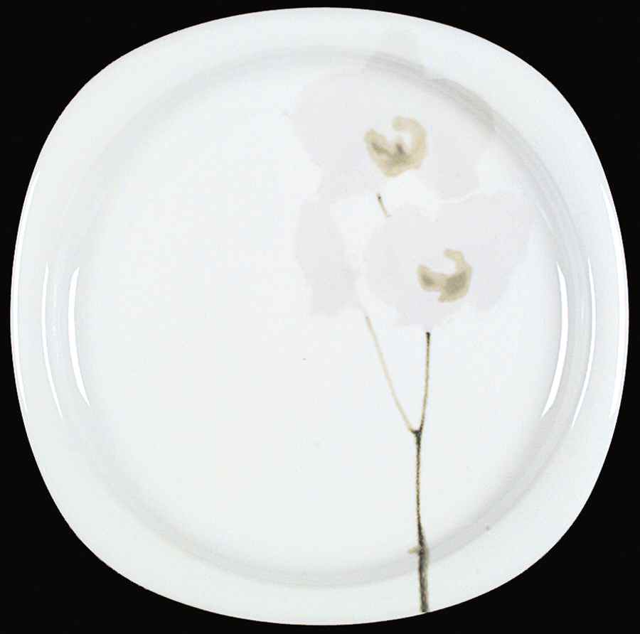 Rangoon Dinner Plate by Rosenthal - Continental-1