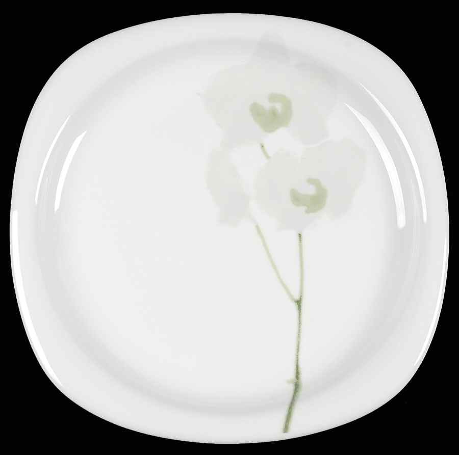 Rangoon Dinner Plate by Rosenthal - Continental-1