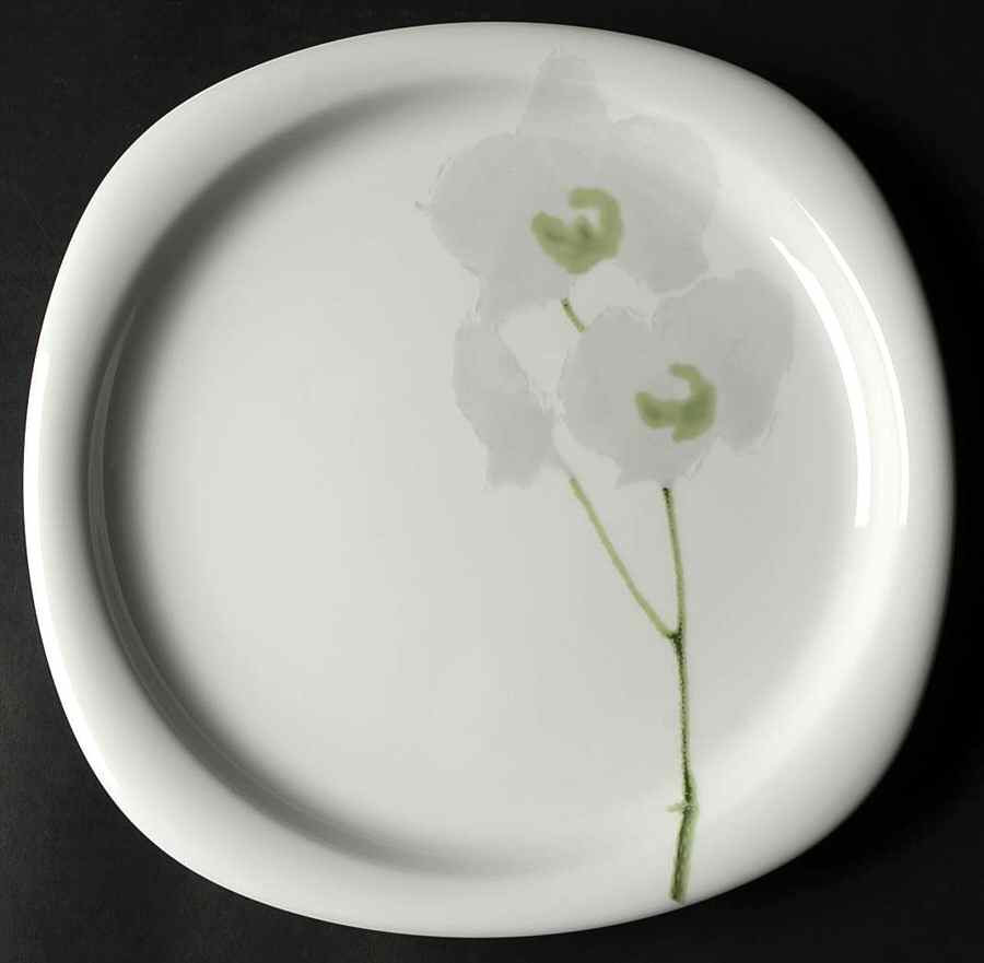 Rangoon Dinner Plate by Rosenthal - Continental-1