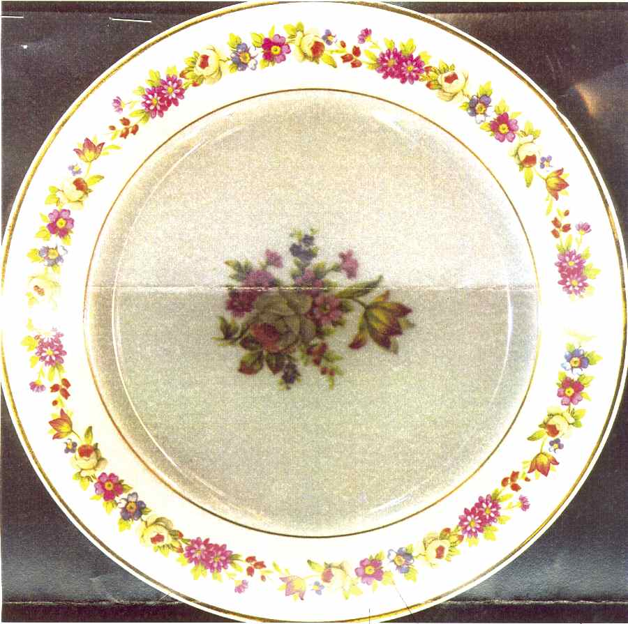 RYD13 Salad Plate by Raynaud-1