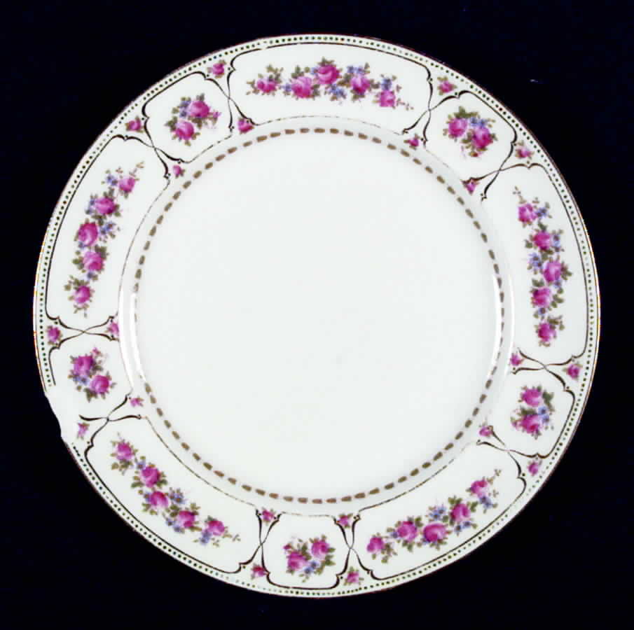 RA5767 Salad Plate by Royal Doulton-1