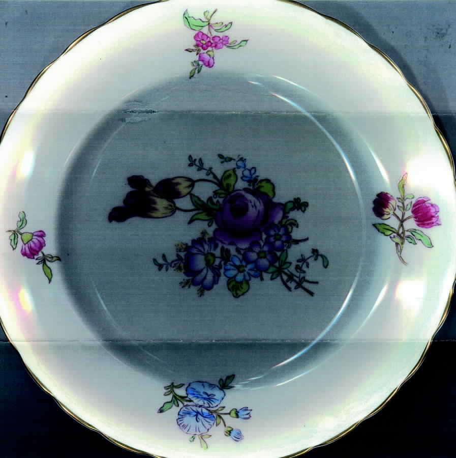 RCH20 Salad Plate by Royal Chelsea-1