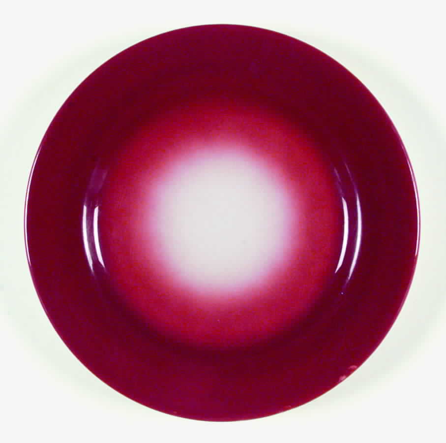 ROJ146 Dinner Plate by Royal Jackson-1