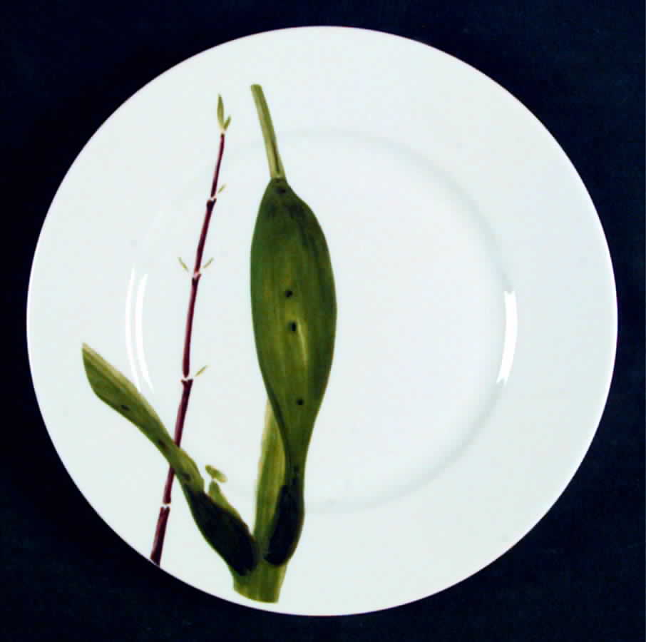Verdures Salad Plate by Raynaud-1