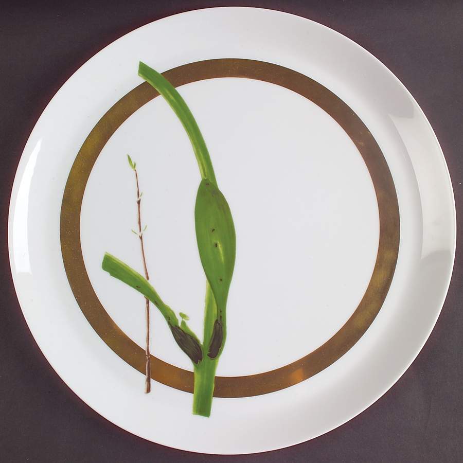 Verdures Cake Plate by Raynaud-1