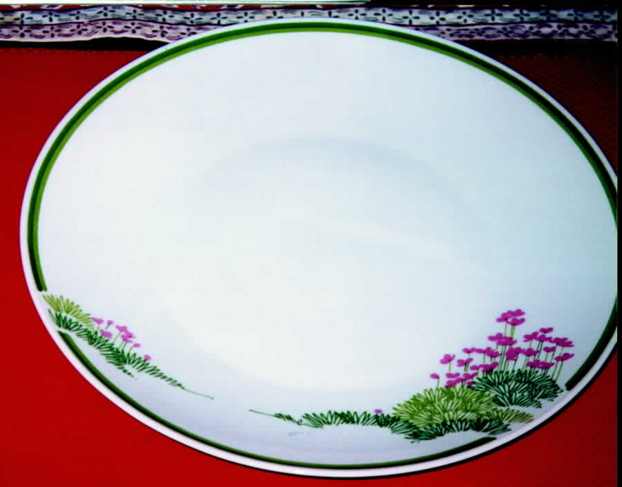 Springtime In Berlin Dinner Plate by Rosenthal - Continental-1