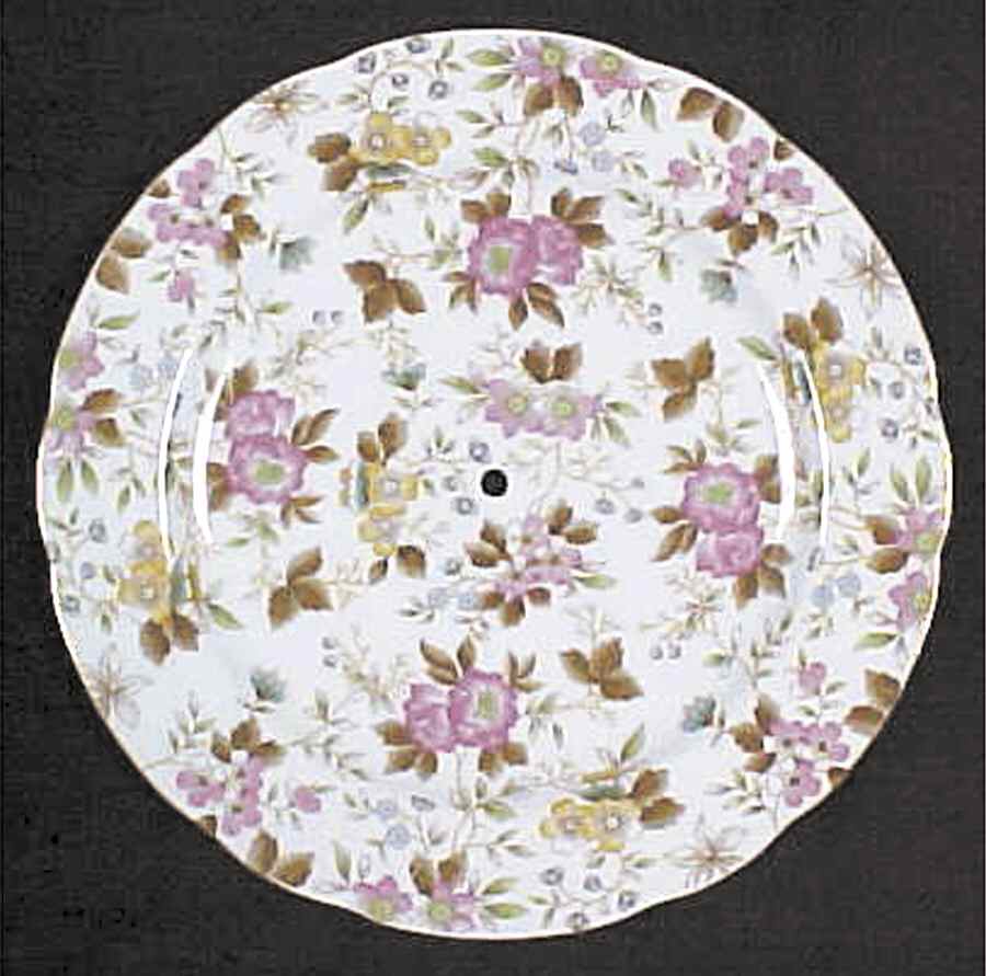 RSS1 Dinner Plate by Rossetti-1