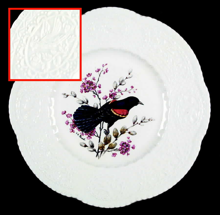 Aviary Luncheon Plate by Royal Cauldon-1