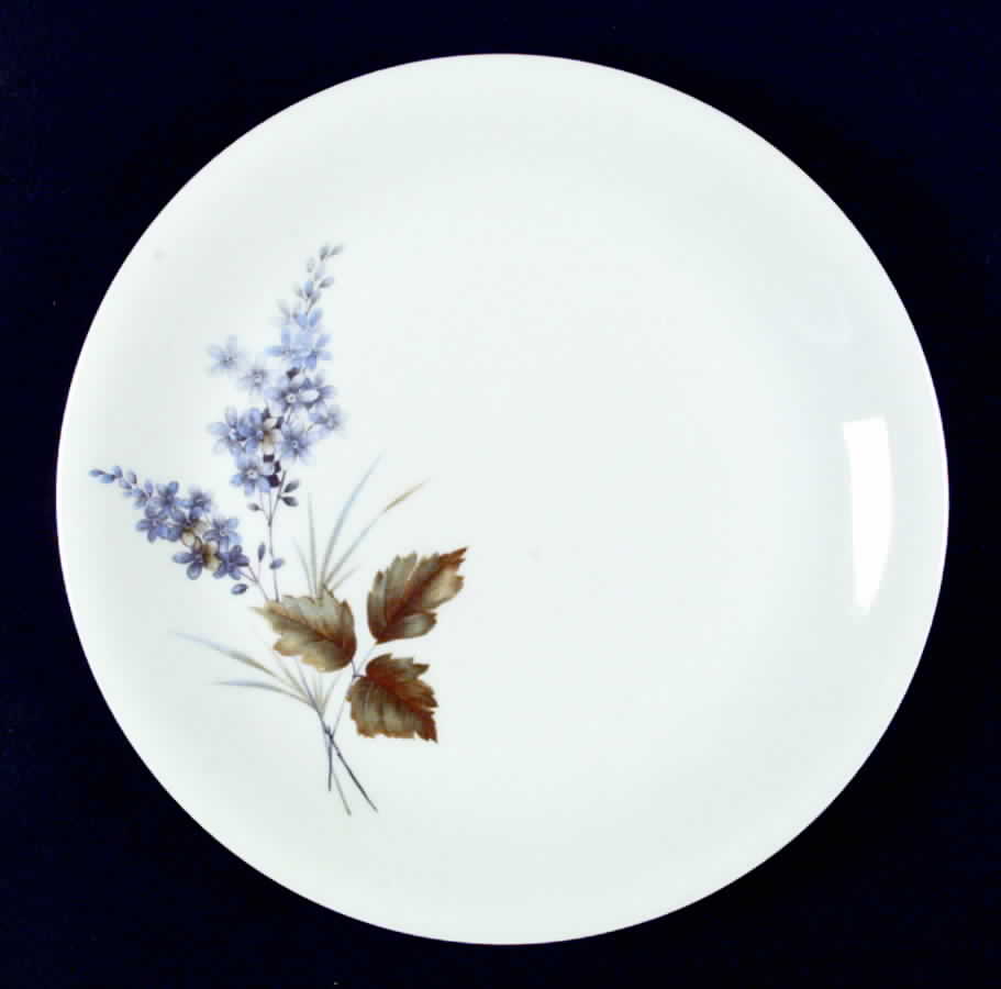 RRR1 Dinner Plate by Renner-1
