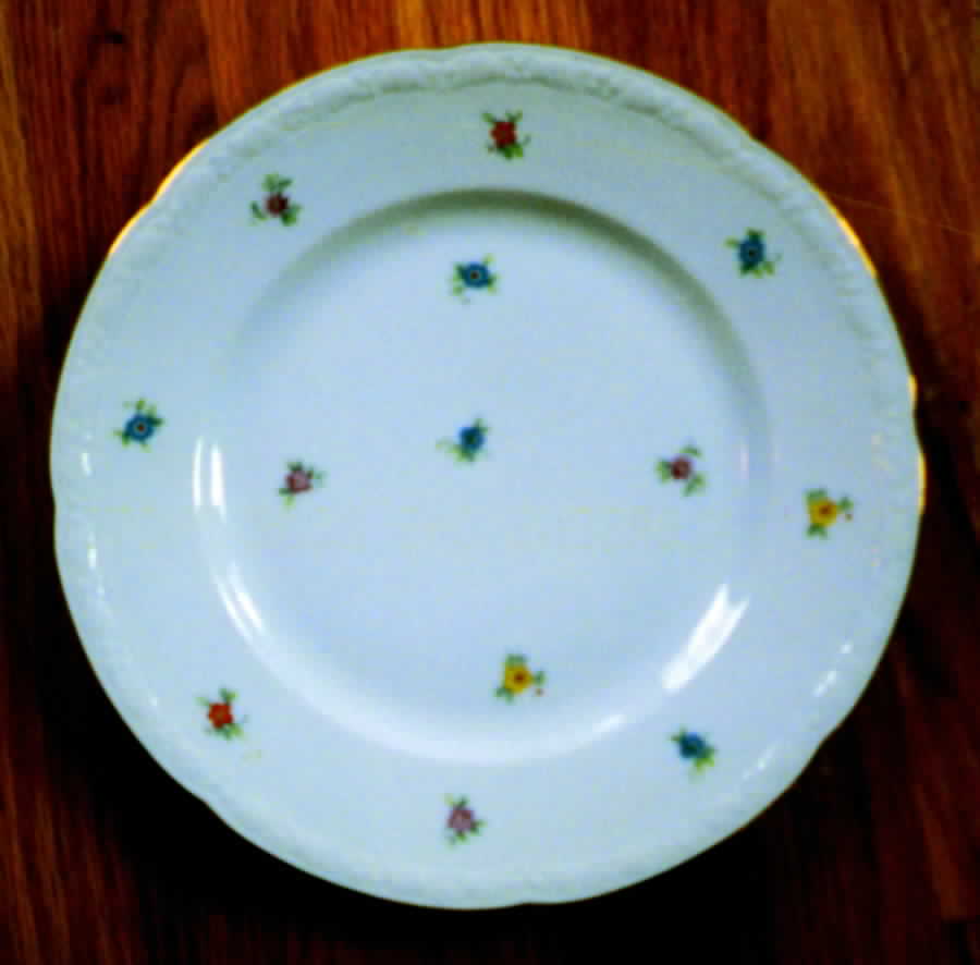 ROT160 Dinner Plate by Royal Tettau-1