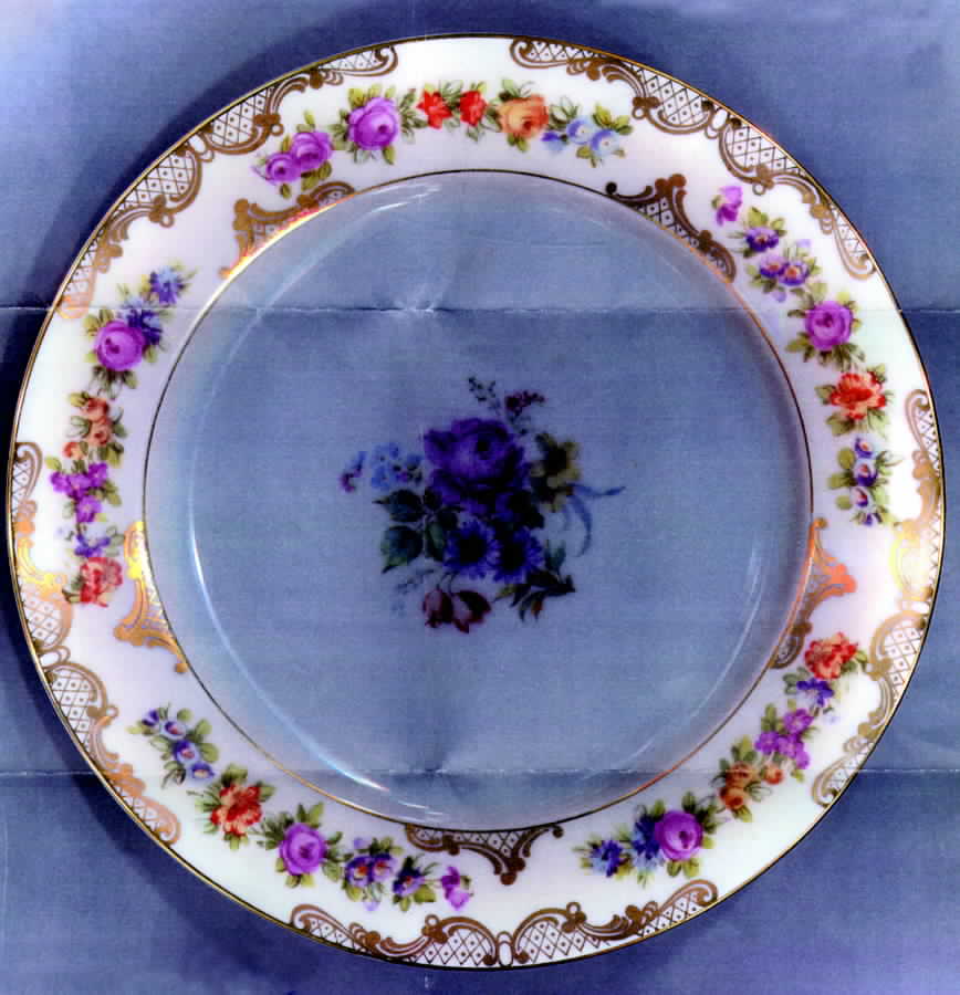 ROB205 Dinner Plate by Royal Bayreuth-1