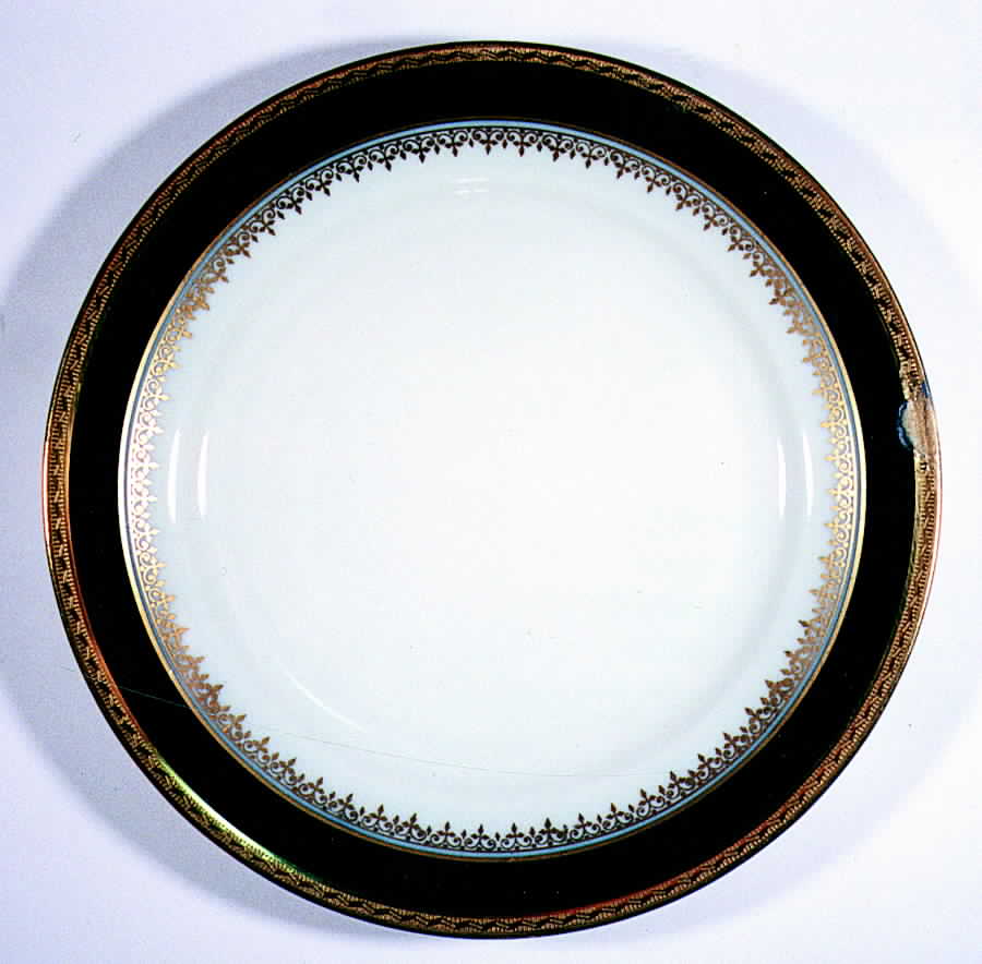 R770 Dinner Plate by Rosenthal - Continental-1