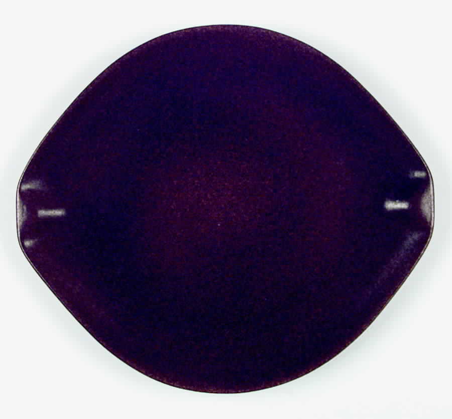 Raymor Autumn Brown (Glossy) Dinner Plate by Roseville-1