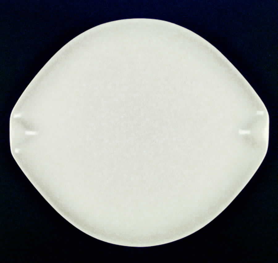 Raymor Beach Gray (Glossy) Dinner Plate by Roseville-1