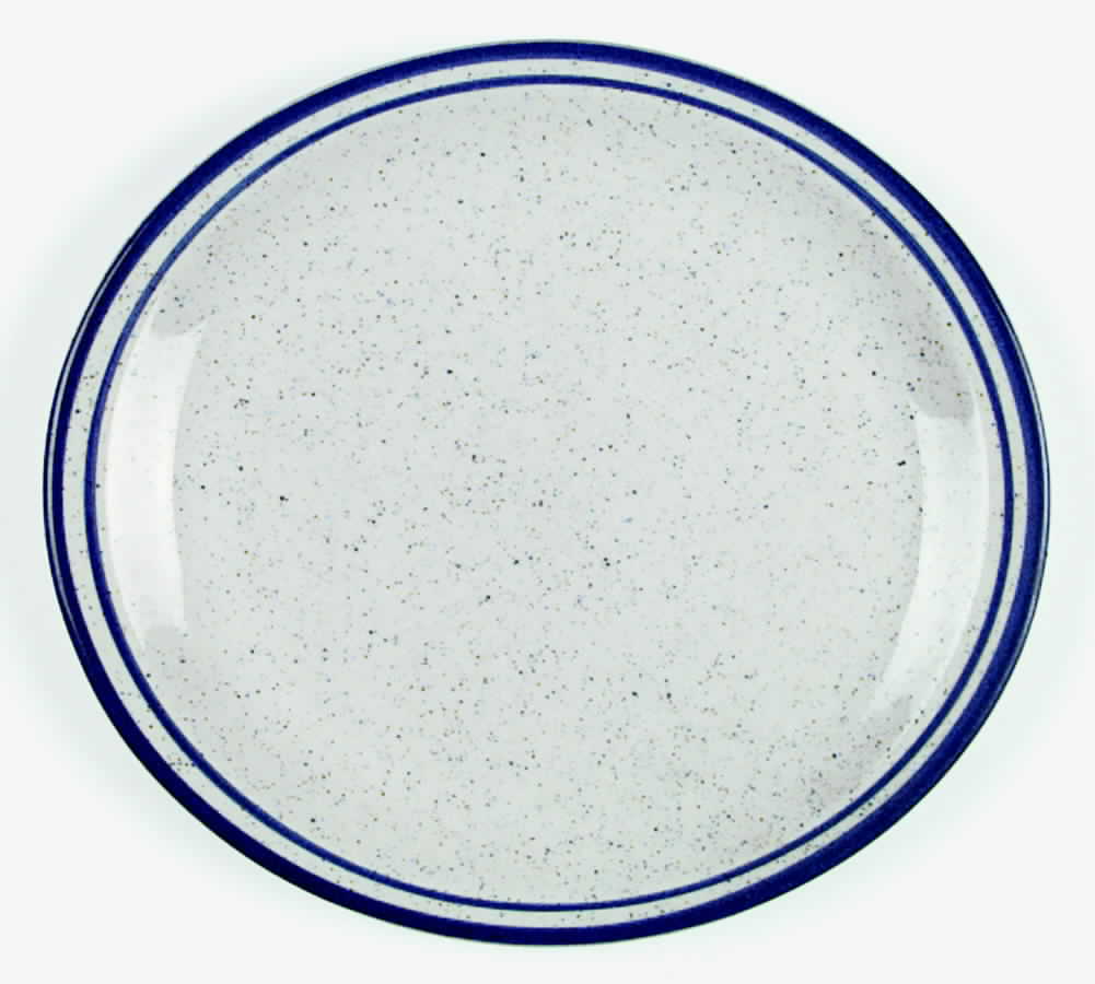 E781-26 Dinner Plate by Rego-1