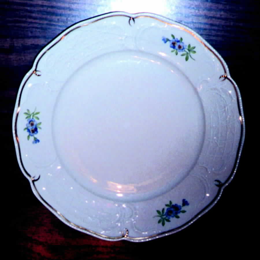 R774 Dinner Plate by Rosenthal - Continental-1