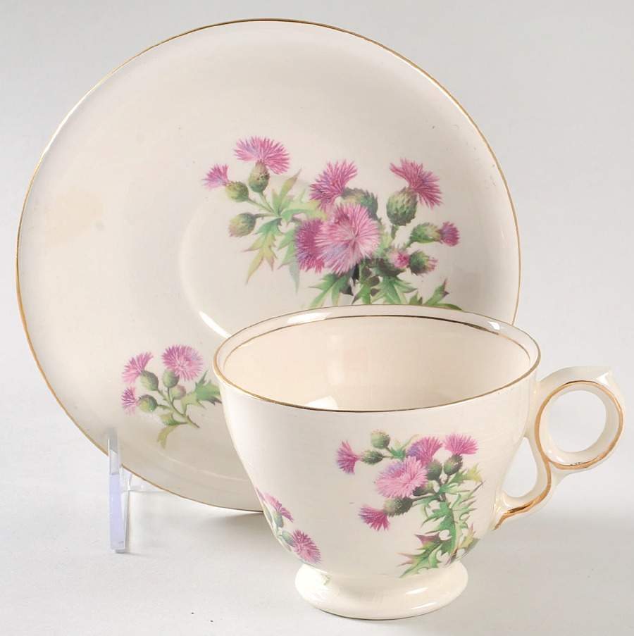 Scotch Thistle Footed Cup & Saucer Set by Royal Winton-1