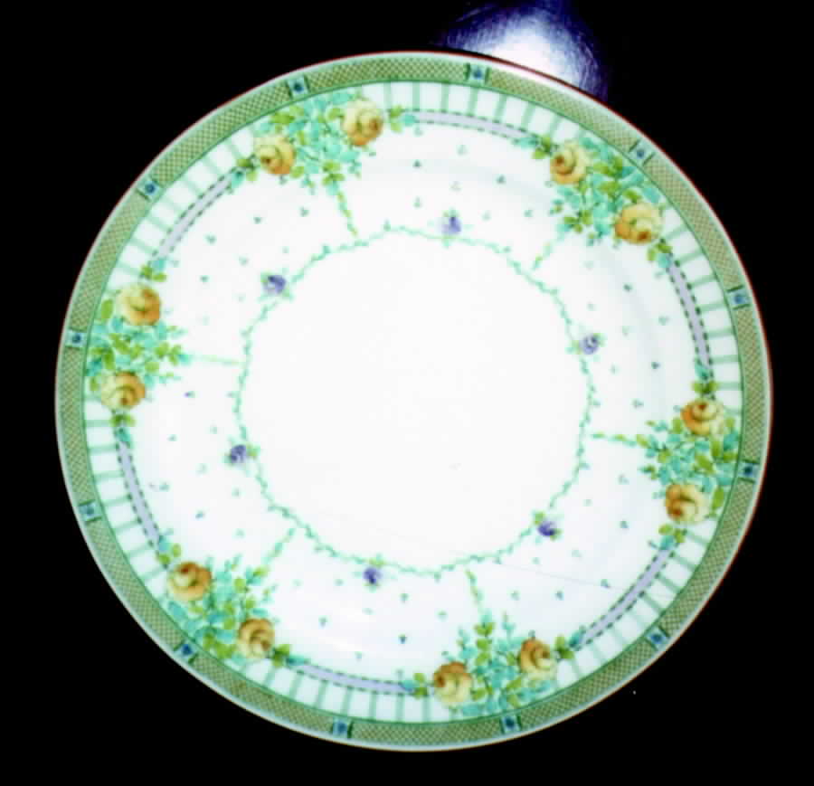 RW78 Dinner Plate by Royal Worcester-1