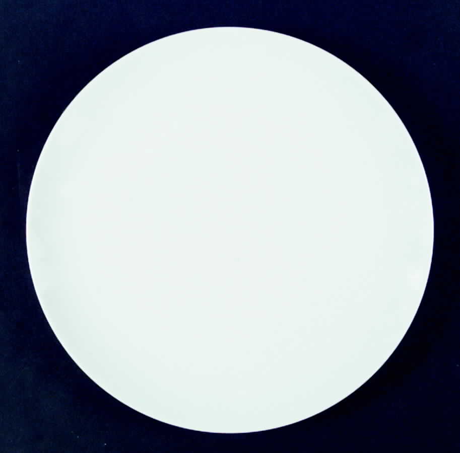 R781 Dinner Plate by Rosenthal - Continental-1
