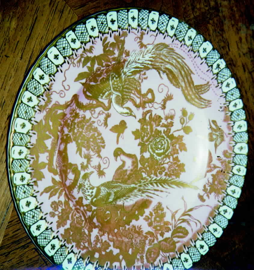 Paradise Pink Dinner Plate by Royal Crown Derby-1