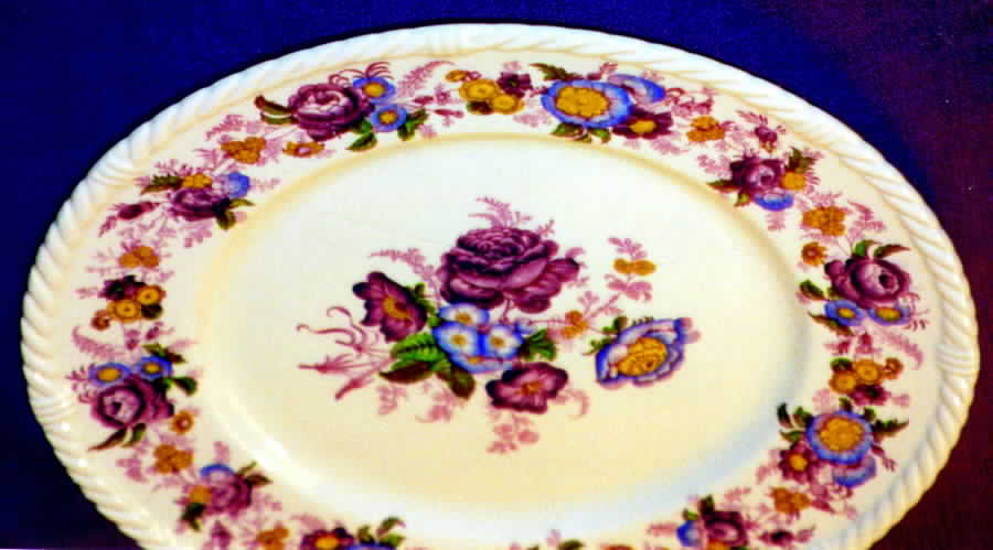 X2886 Dinner Plate by Royal Cauldon-1