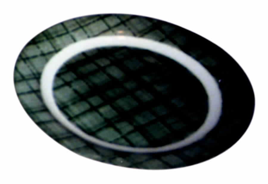RYL116 Dinner Plate by Royal (USA)-1