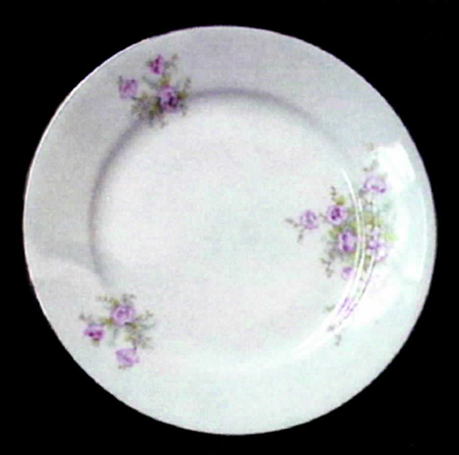 R783 Bread & Butter Plate by Rosenthal - Continental-1