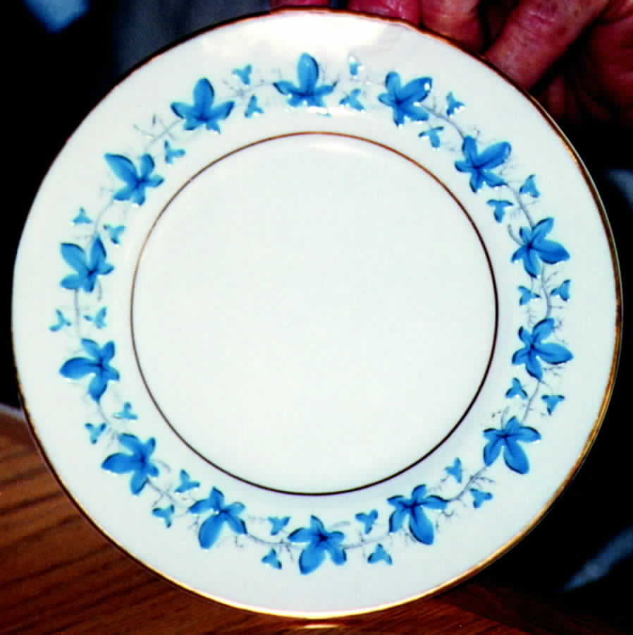 Bala Dinner Plate by Royal Worcester-1