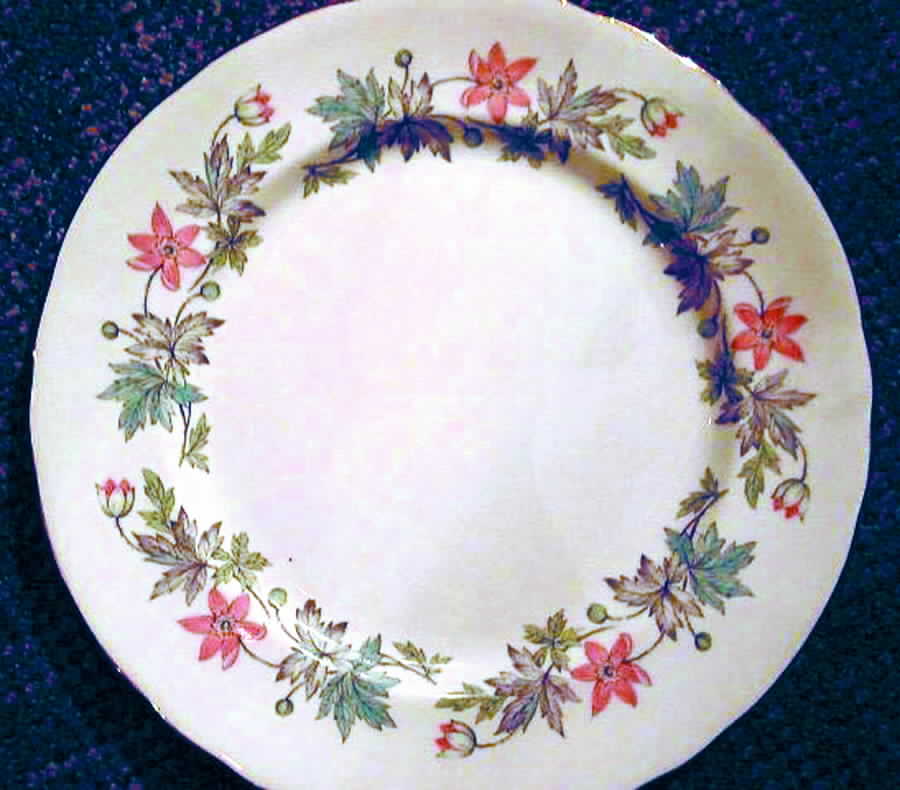 Windflower Dinner Plate by Royal Chelsea-1