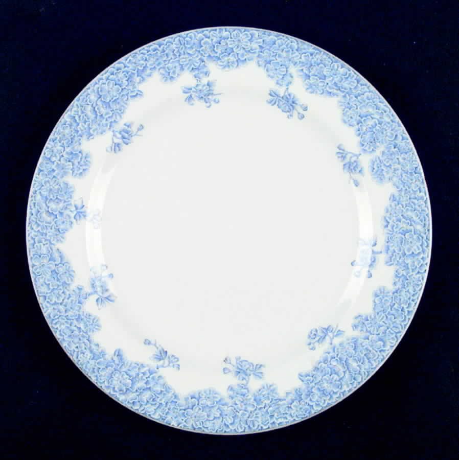 W2279 Lt Blue Luncheon Plate by Royal Worcester-1