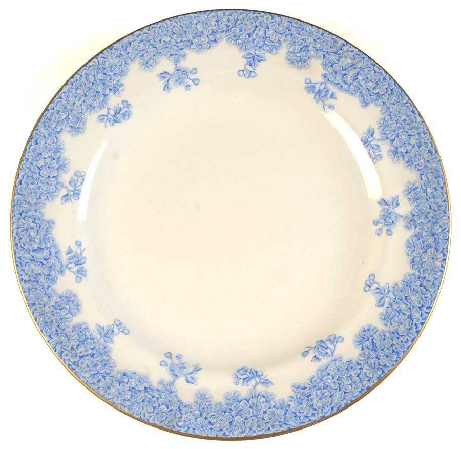 W2279 Lt Blue Dinner Plate by Royal Worcester-1