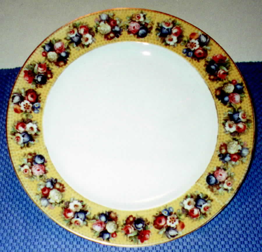 2198 Dinner Plate by Rosenthal - Continental-1