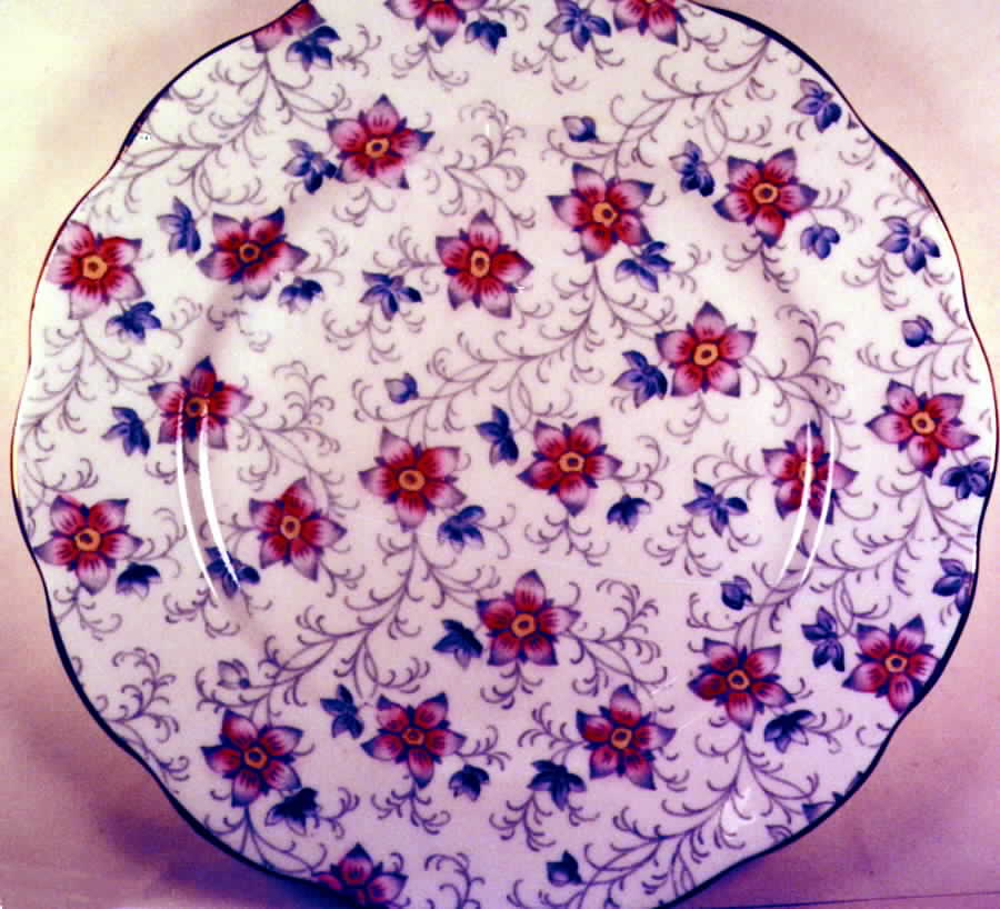 Kendal Dinner Plate by Royal Albert-1