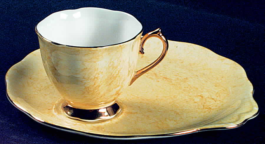 Gossamer Yellow Snack Plate & Cup Set by Royal Albert-1