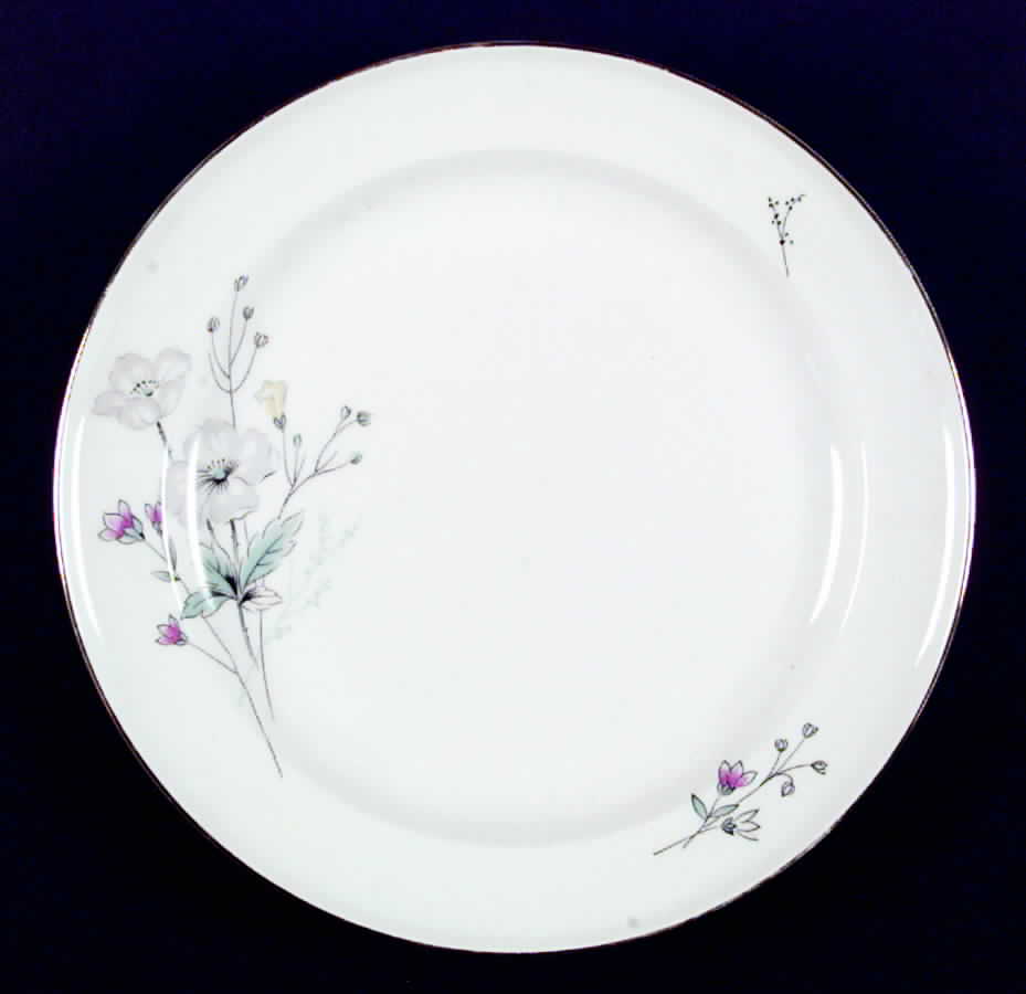 R799 Dinner Plate by Rosenthal - Continental-1