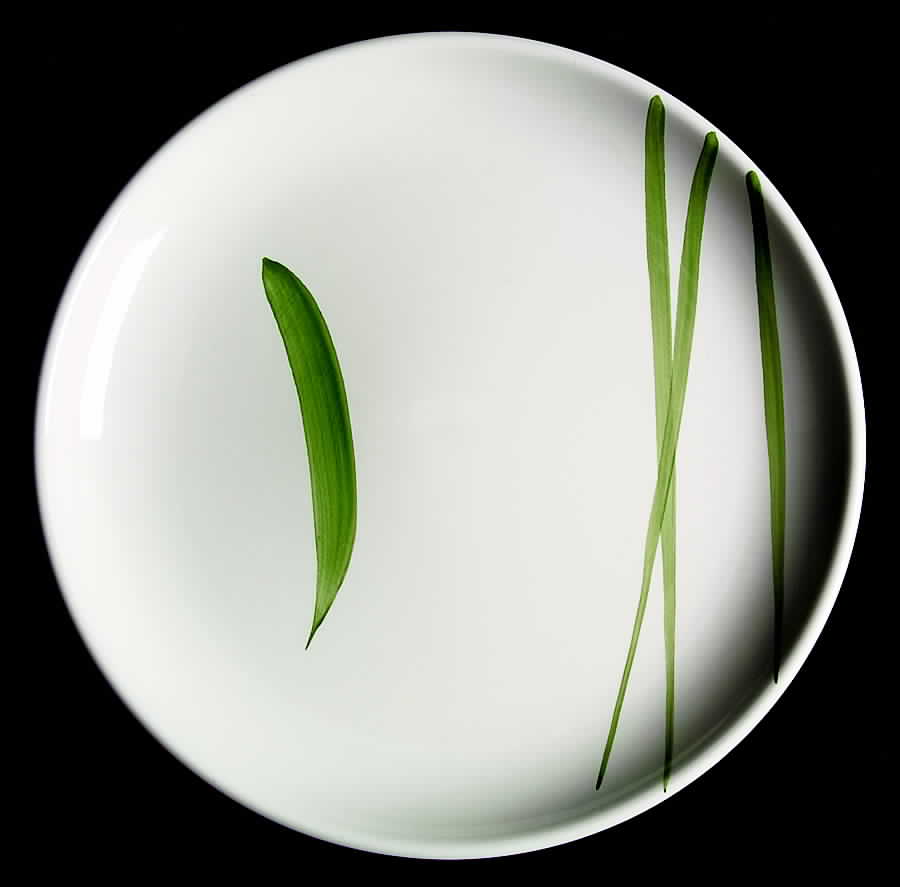 Lemongrass Dinner Plate by Retroneu-1